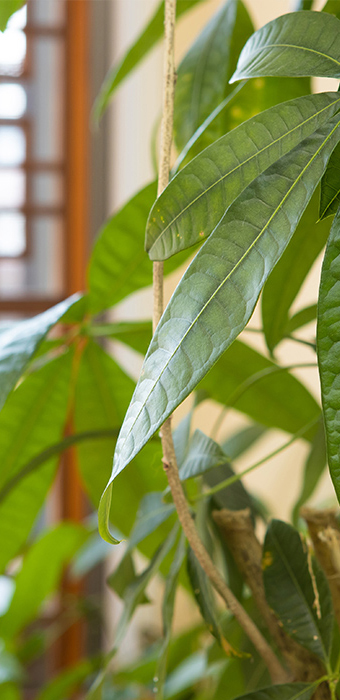 販売グッズ等イメージ